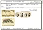 Karteikarte zum Syntyp von Trochammina miocenica Karrer, 1877